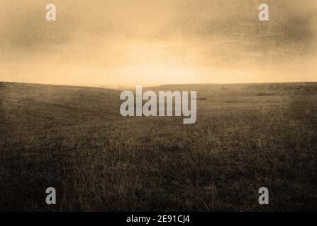 Stylized Foggy Grassland Background with Gently Rolling Hills, Gritty Sepia Texture, and Blank Space Stock Photo