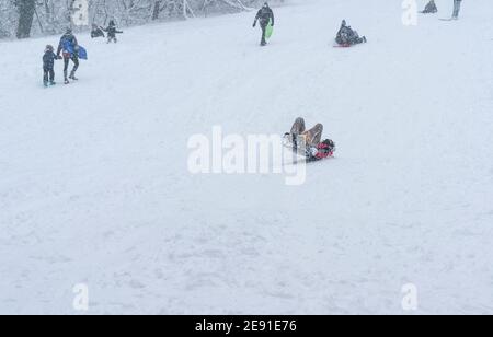 https://l450v.alamy.com/450v/2e91e76/new-york-united-states-01st-feb-2021-children-and-adults-play-with-the-snow-in-ewen-park-in-the-bronx-as-major-storm-cover-new-york-city-with-more-than-a-foot-expected-on-the-ground-on-february-1-2021-photo-by-lev-radinsipa-usa-credit-sipa-usaalamy-live-news-2e91e76.jpg