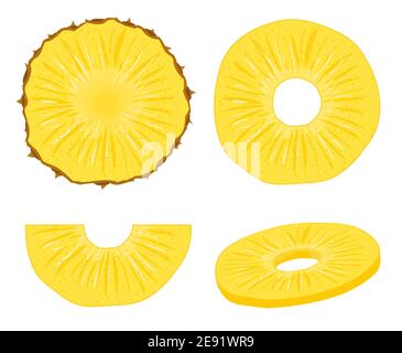 Pineapple vector slice fruit illustration. Realistic ananas piece isolated background, pineapple ring Stock Vector