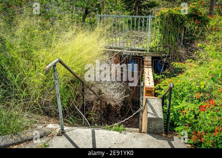Abandoned public toilet with overgrown bush blocking the entrance Stock Photo