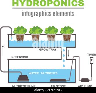 Color flat cncept depicting scheme and the principle of hydroponics vector illustration Stock Vector