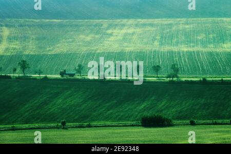 Green countryside landscape of hill with trees and fields Stock Photo