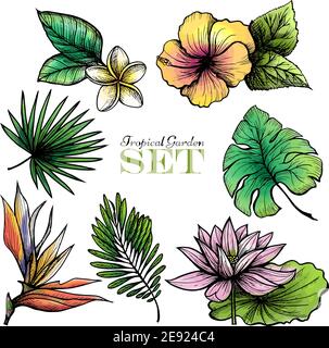 Tropical garden set of colored leaves and flowers isolated vector illustration Stock Vector