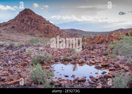 A puddle of water in the stark green kalahari landscape after a thunderstorm Stock Photo