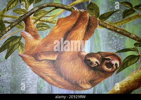 Painting Showing a Three-toed Sloth Mother and Baby Stock Photo