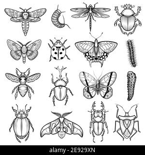 Insects black white line icons set with dragonfly and caterpillar flat isolated vector illustration Stock Vector