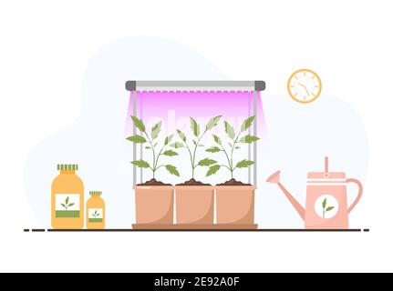 Phyto lamp. Growing spring seedlings under purple light. Vegetarian and ecological products. Vector illustration in flat cartoon style. Plant care Stock Vector