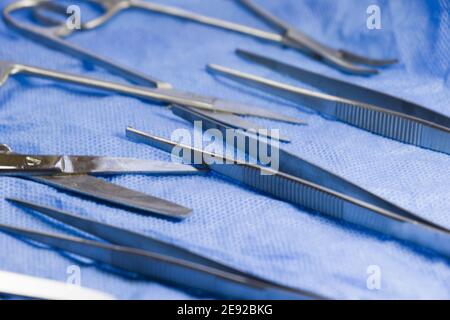 Stainless Steel Scalpel Kit