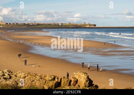 People walking with dogs on Sandhaven beach with Tynemouth in the background, north east England, UK Stock Photo