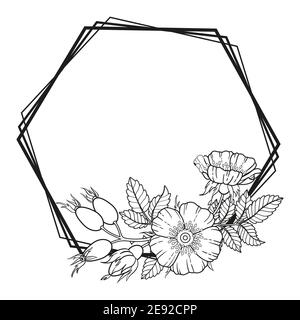 Frames and borders of dog-rose flowers, branches and leaves. Vector image isolated on white background. Coloring book for adults, elements for packagi Stock Vector