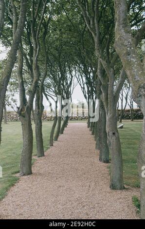 A vertical shot of a narrow path between old buildings Stock Photo - Alamy