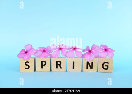 Bright purple pink flowers in wooden blocks with word spring. Welcome spring season concept. Stock Photo