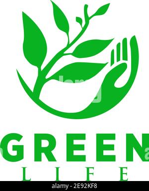 Green leaf icon logo design vector illustration template Stock Vector