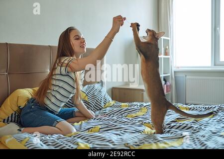 Young woman playing with a cat on a day off at home. The joy of having pets. Stock Photo