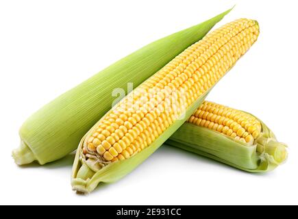 Ears of corn (Corncob) isolated on white background. Full depth of field. Stock Photo