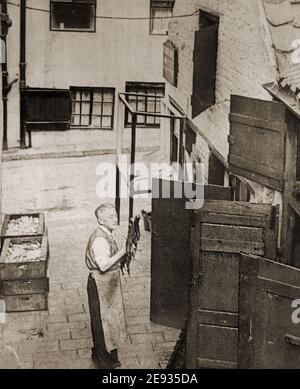 c1960's . An old image of Jack Fortune, the then proprietor  of Fortune's Kipper House, Whitby, North Yorkshire, holding a rack of locally caught  herrings to be placed in the smoke house, (wooden doors to the right). Fish boxes full of  fresh herrings can be seen behind him. The premises on Henrietta Street, Whitby, North Yorkshire, Engand   sell to the  public and post the kippered herrings around the world,  They are still in business (as of 2021). Stock Photo