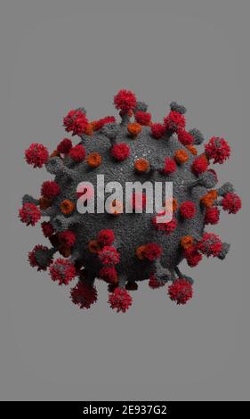 How the coronavirus (SARS-CoV-2) infects human cells Stock Photo