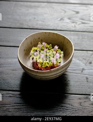 Red meat tartare decorated and plated with flowers and garden green