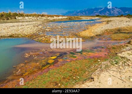 Babai River, Royal Bardia National Park, Bardiya National Park, Nepal, Asia Stock Photo