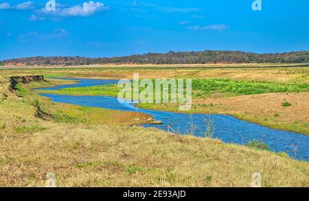 Babai River, Royal Bardia National Park, Bardiya National Park, Nepal, Asia Stock Photo