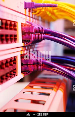Server rack with blue and red internet patch cord cables connected to black patch panel in data server room Stock Photo