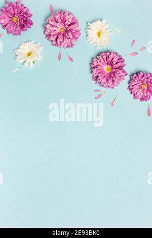 Flowers Composition Creative Layout Made With White And Violet Flowers On Pastel Blue Background Flat Lay Spring Minimal Concept Stock Photo Alamy