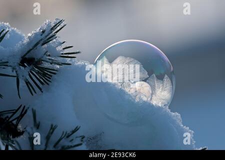 Beautiful frozen soap bubble in snow on a very cold winter day Stock Photo
