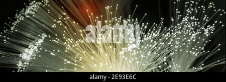 optical fibres dinamic flying from deep on technology background Stock Photo