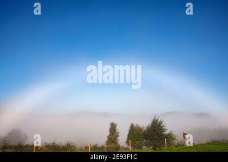 Fog Bow, Scotland Stock Photo