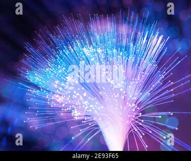 optical fibres dinamic flying from deep on technology background Stock Photo
