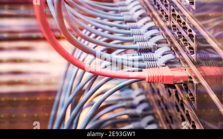 Server rack with blue and red internet patch cord cables connected to black patch panel in data server room Stock Photo