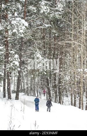 People walking on a track in beautiful winter wonderland scenery in Lithuania in winter, forest, outdoor sports, healthy lifestyle, vertical Stock Photo