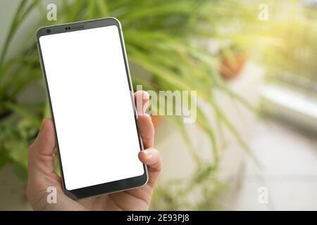 Woman holding smartphone with white screen. Stock Photo
