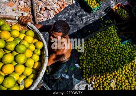 A Colombian worker carries a basket loaded with green oranges (for juicing) in an open-air fruit market in Barranquilla, Colombia. Stock Photo