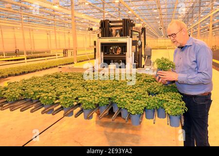 28 January 2021 Saxony Anhalt Osterweddingen Plant manager