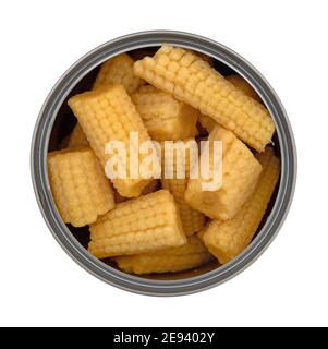 Overhead view of an open can filled with organic baby corn isolated on a white background.