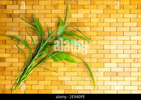 Young green bamboo branches and leaves on wooden carpet background texture. Spa, welbeing, zen concept Stock Photo