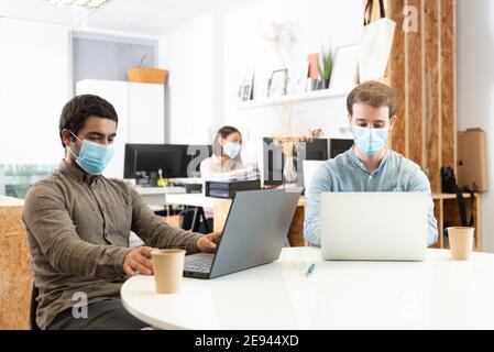 Coworkers concentrated on their laptops and wearing protective face masks. Working in the office during Coronavirus pandemic concept. Stock Photo