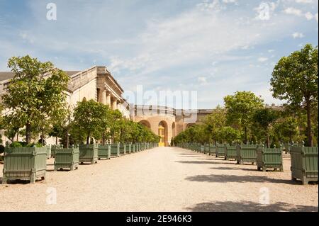 The South Parterre bas orangery in the Gardens of Versailles, Paris, created by Andre le Notre Stock Photo