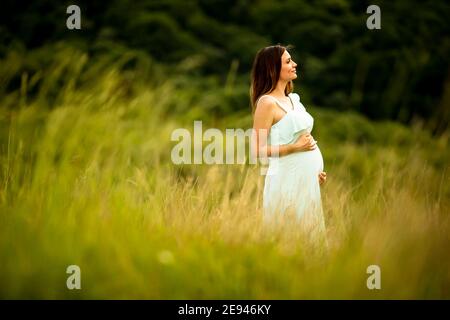 Pretty young pregnant woman relaxing outside in nature at summer day Stock Photo