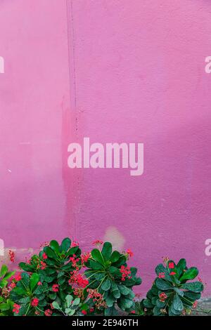 Decorative bright colored rusty surface Stock Photo