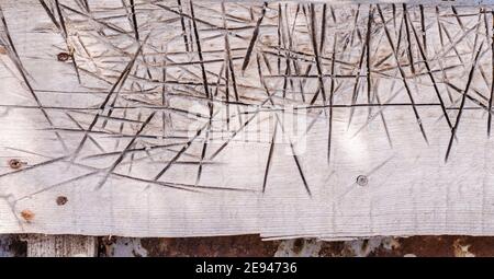 Grey texture with crackles.Ancient wooden background with pale silver peeling paint. The old wooden painted textured surface. Stock Photo