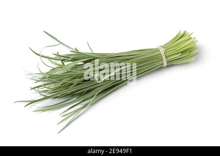Single bunch of fresh wild garlic isolated on white background Stock Photo