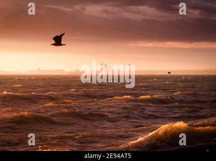 Giant sea waves - stock photo Stock Photo