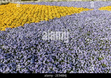 Flowerbed in the Peace Park, Hiroshima, Japan Stock Photo