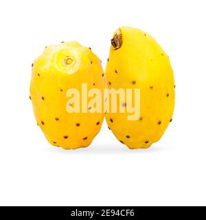 Two whole yellow prickly pears cactus fruits on white background with clipping path Stock Photo