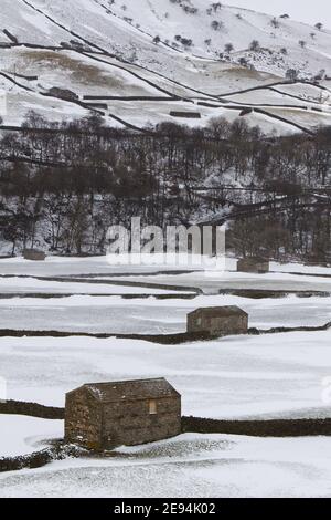 A view of the hay meadows and field barns of Muker, Swaledale, Yorkshire Dales National Park, covered in snow in winter