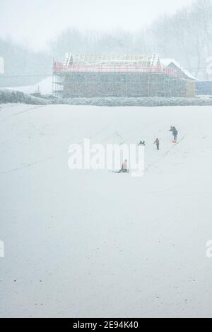 Kids sledging in a field while it is snowing. Stock Photo