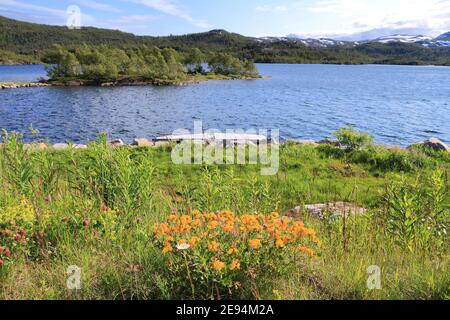 Vagsli Lake (Vagslivatnet) in Haukeli Mountains (Haukelifjellet), Norway. Stock Photo