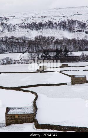 A view of the hay meadows and field barns of Gunnerside, Swaledale, Yorkshire Dales National Park, covered in snow in winter